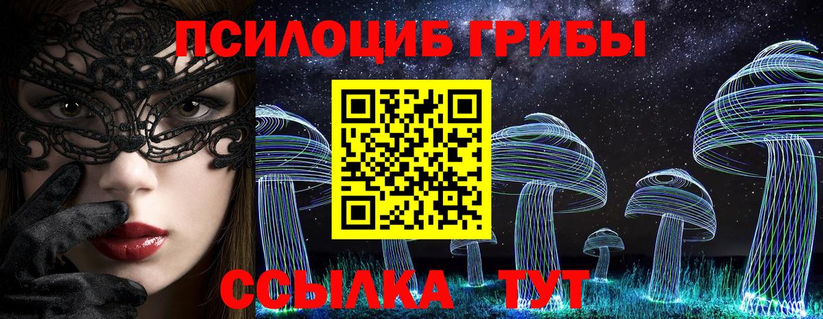 Псилоцибиновые грибы Psilocybe Сухой Лог