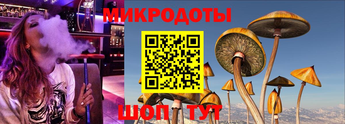Галлюциногенные грибы Psilocybine cubensis  Вход с VPN  что такое наркотик  Псилоцибиновые грибы Cubensis  Сухой Лог 